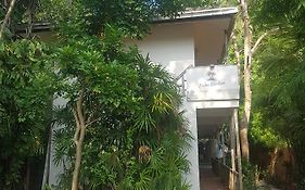 Palm Garden